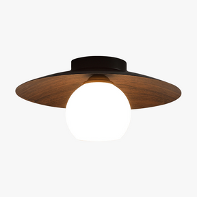 Modern Minimalist Entrance Ceiling Light