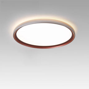 Simple Led Ceiling Light