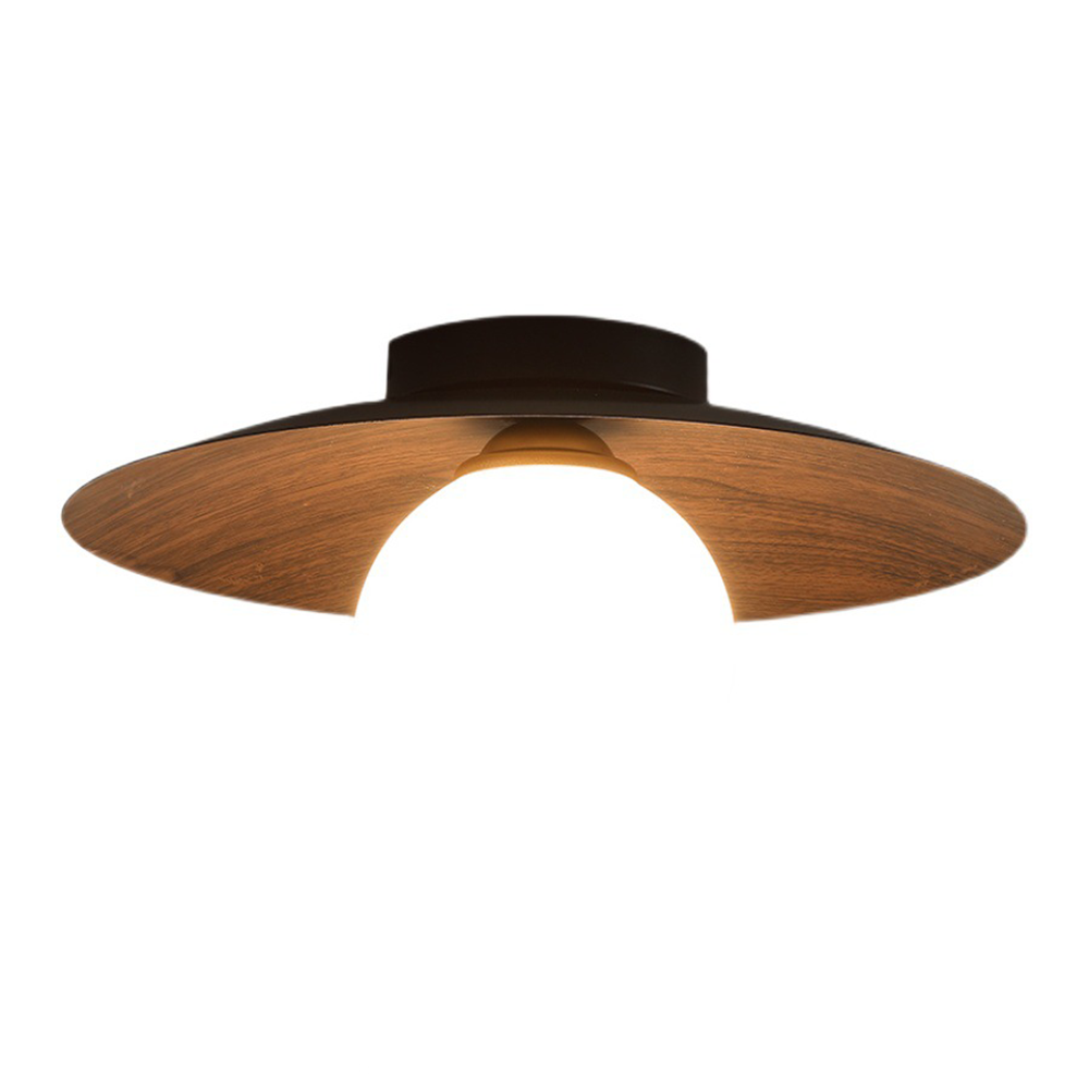 Modern Minimalist Entrance Ceiling Light