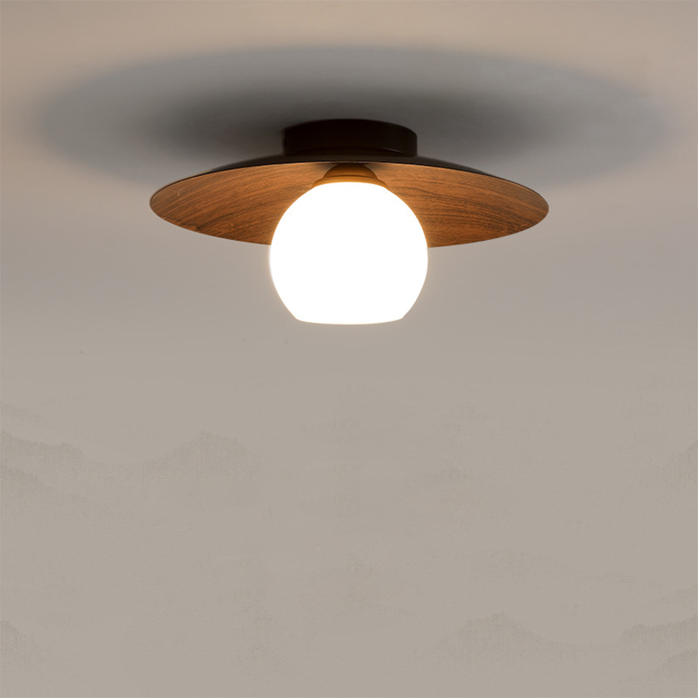 Modern Minimalist Entrance Ceiling Light