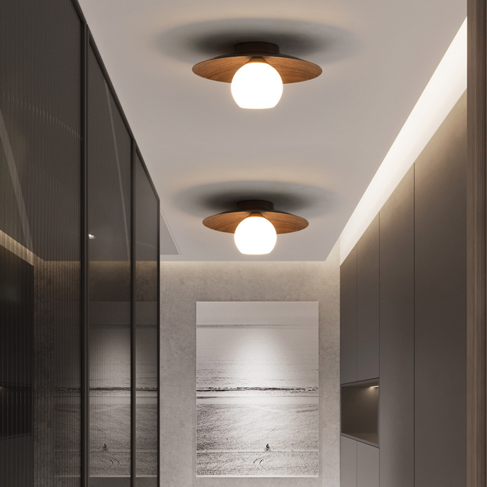 Modern Minimalist Entrance Ceiling Light