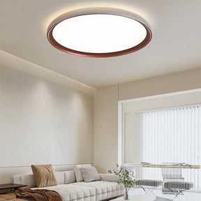 Simple Led Ceiling Light