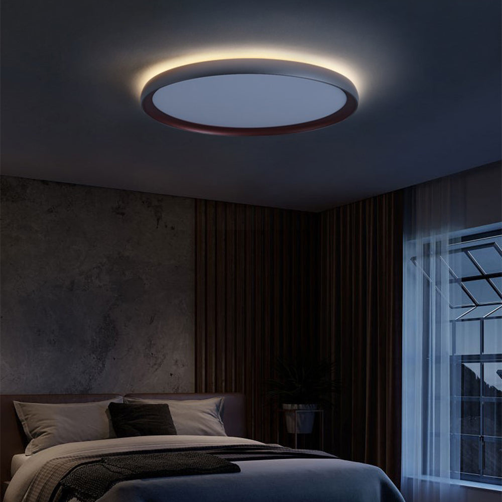 Simple Led Ceiling Light