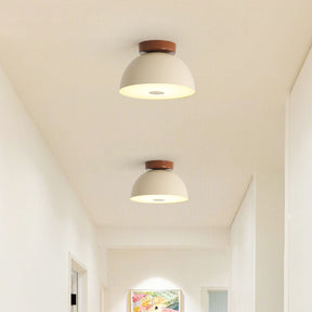 Simple Iron Aisle Ceiling Lamp