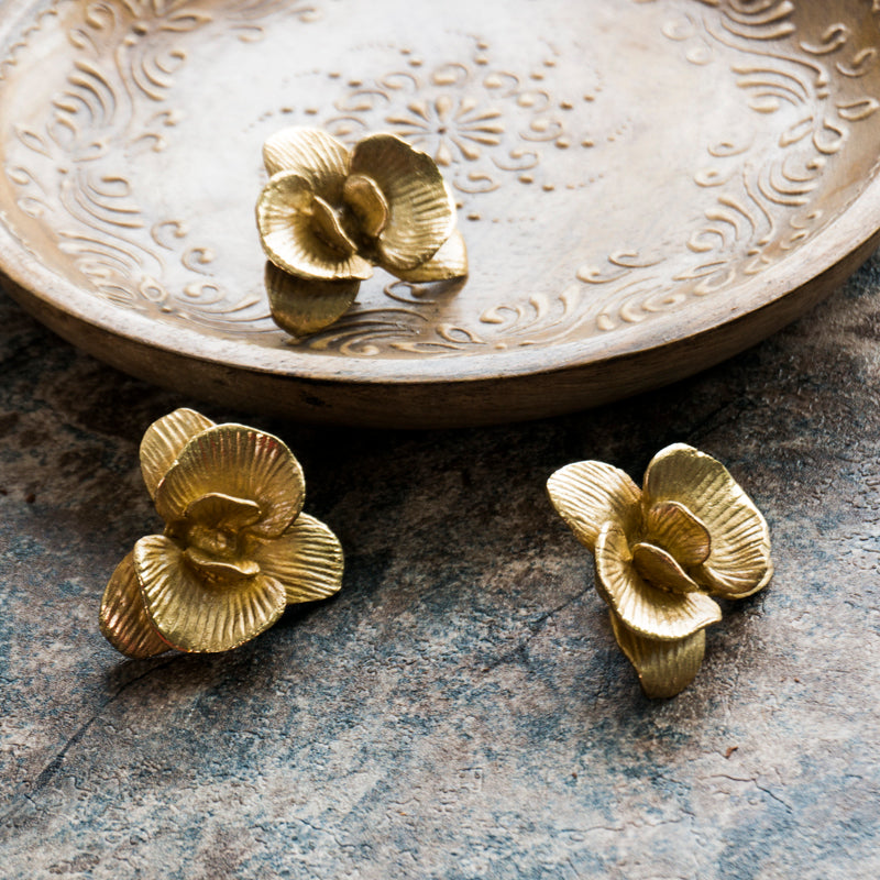 Brass Phalaenopsis Cabinet Knobs