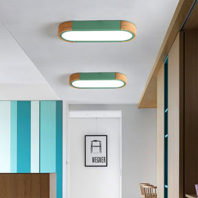 Minimalist Elliptical Geometry Ceiling Lights Fixture -Homdiy