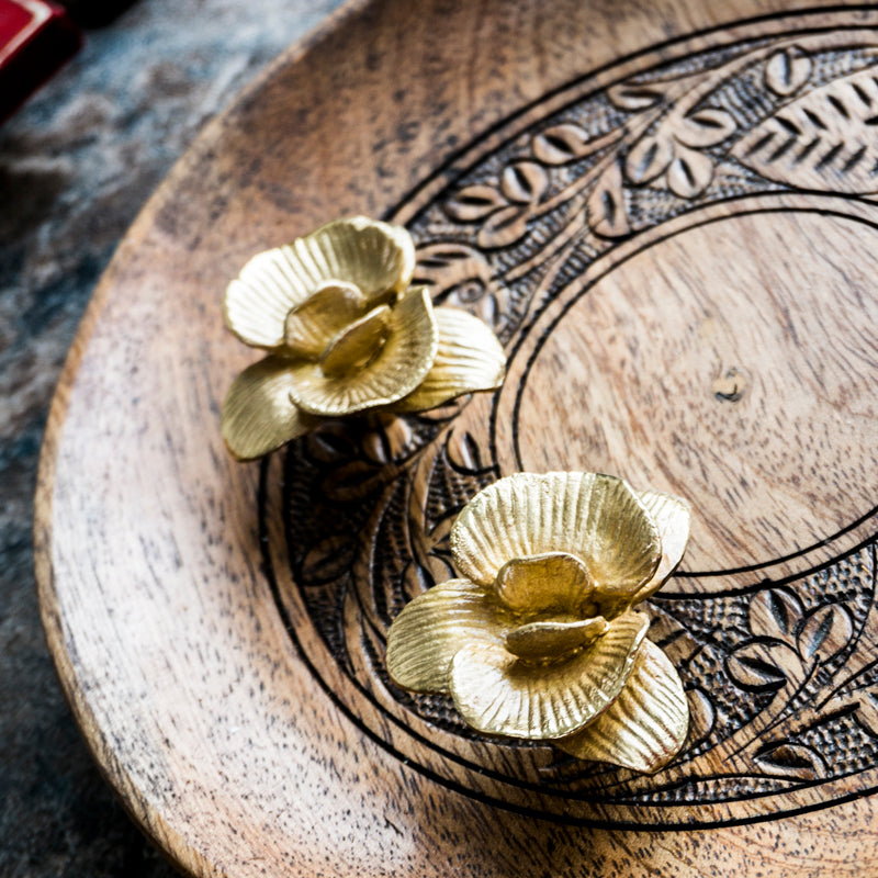 Brass Phalaenopsis Cabinet Knobs