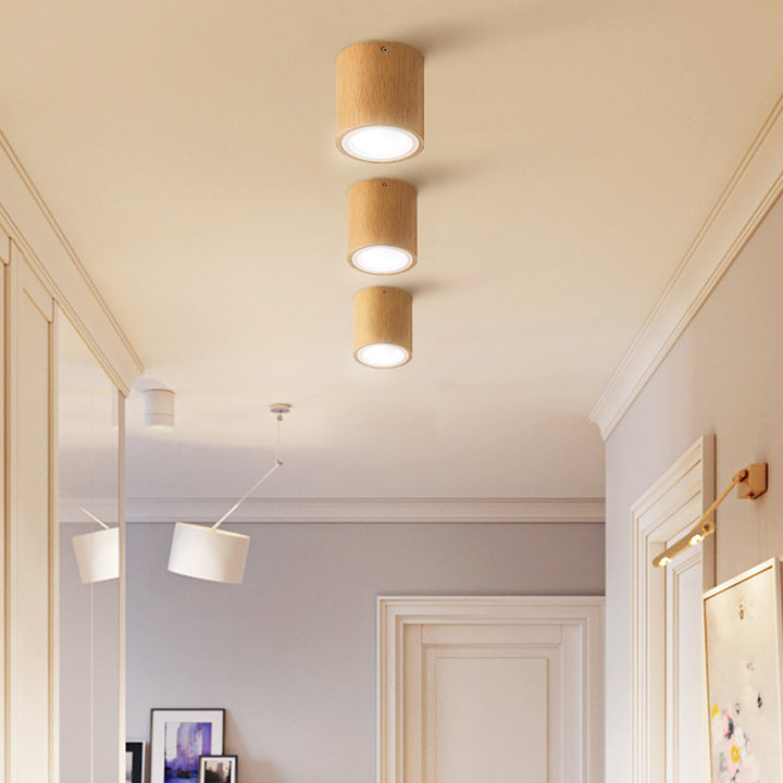 Small Corridor LED Ceiling Light