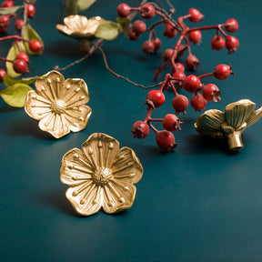 Gold Brass Sakura Cabinet Knobs